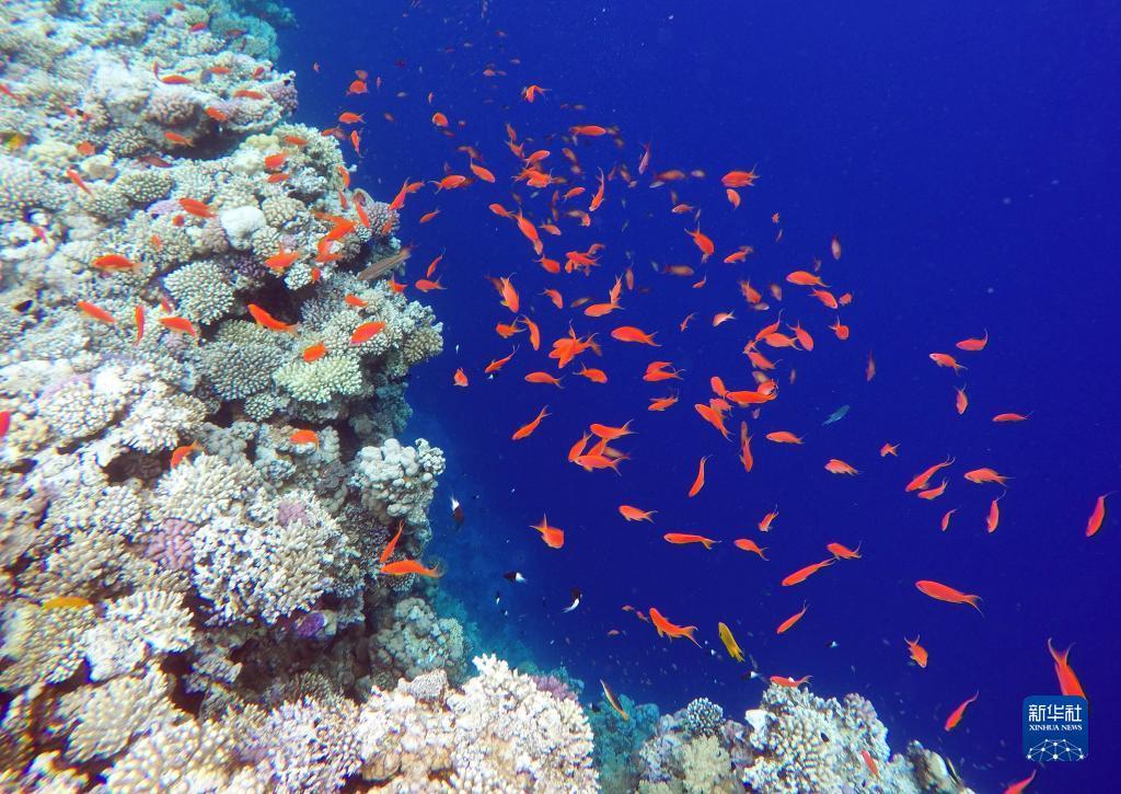 新濠天地直营赌场
